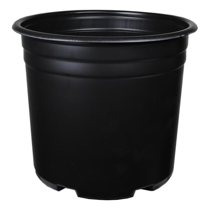 DL Wholesale 5 Gal Thermoformed Plastic Pot