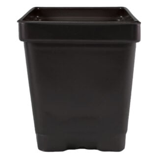 3.25'' x 3.25'' x 3.5'' 0.5qt Square Pot