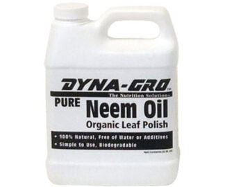 Dyna-Gro Pure Neem Oil, 8 oz (Not for sale in PR VI)