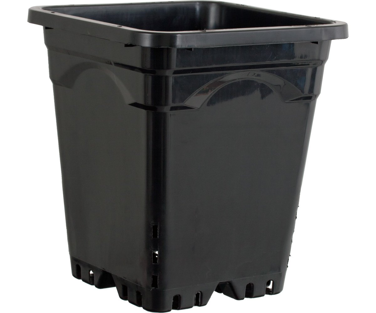 HG12X12SB Active Aqua 12" x 12" Square Black Pot, 12" Tall, case of 24 1 Active Aqua 12" x 12" Square Black Pot, 12" Tall, case of 24
