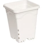Active Aqua 6" x 6" Square White Pot, 8" Tall, case of 50 HG6X6SW Active Aqua 6" x 6" Square White Pot, 8" Tall, case of 50 HG6X6SW