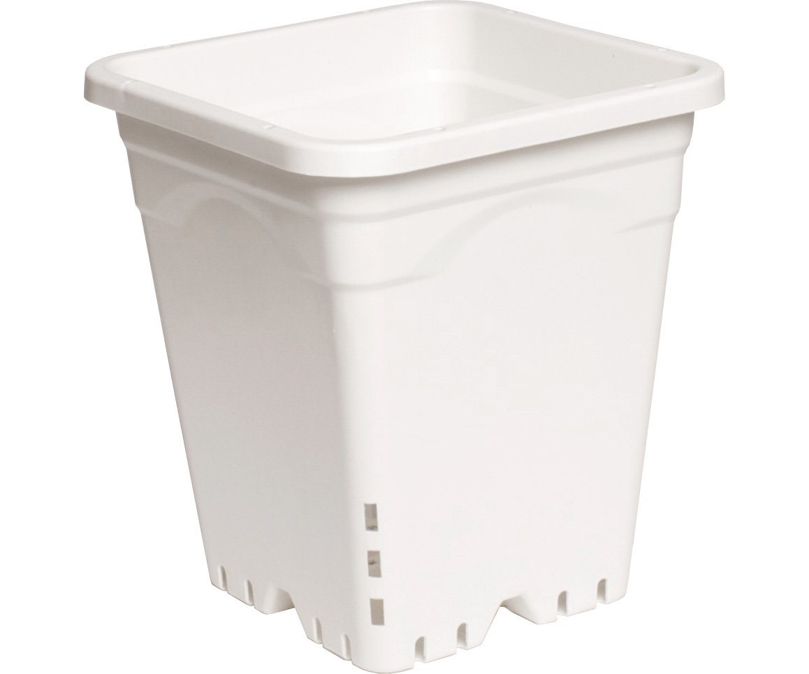 HG9X9SW Active Aqua 9" x 9" Square White Pot, 10" Tall, case of 24 1 Active Aqua 9" x 9" Square White Pot, 10" Tall, case of 24