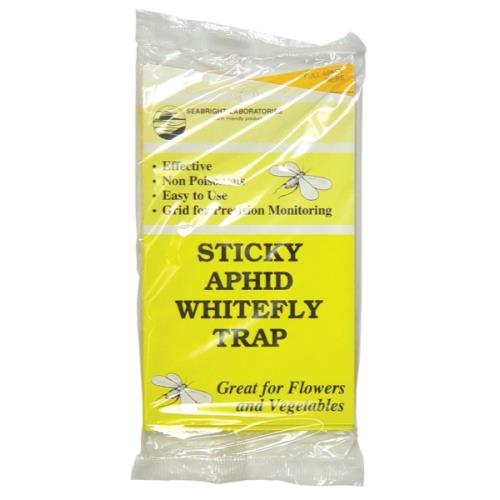 Sticky Aphid Whitefly Trap 5/Pack  (80/Case) 704195