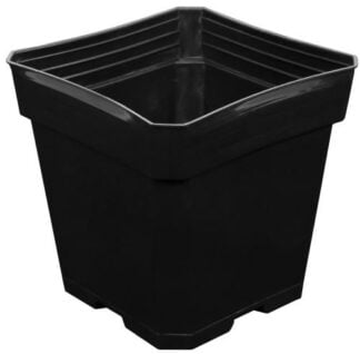 Gro Pro Black Plastic Pot 5.5 in x 5.5 in x 5.75 in (200/Case)