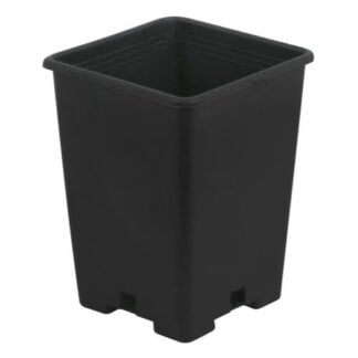 Gro Pro Black Plastic Square Pot 5 x 5 x 7 in