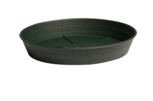 Premium Green Saucer, 10", pack of 25 HGS10P Premium Green Saucer, 10", pack of 25 HGS10P