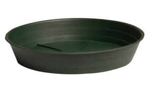 HGS14P Premium Green Saucer 14", pack of 10 1 Premium Green Saucer 14", pack of 10