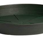 Premium Green Saucer, 6", pack of 25 HGS6P Premium Green Saucer, 6", pack of 25 HGS6P