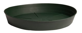 Premium Green Saucer, 6", pack of 25