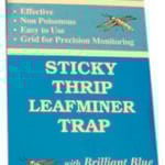Seabright Laboratories Thrip/Leafminer Traps, 5 pack HGSLTLT Seabright Laboratories Thrip/Leafminer Traps, 5 pack HGSLTLT