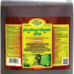 Microbe Life Photosynthesis Plus, 5 gal (Not for sale in OR CA ID MS NM OK SD) ML21772 Microbe Life Photosynthesis Plus, 5 gal (Not for sale in OR CA ID MS NM OK SD) ML21772