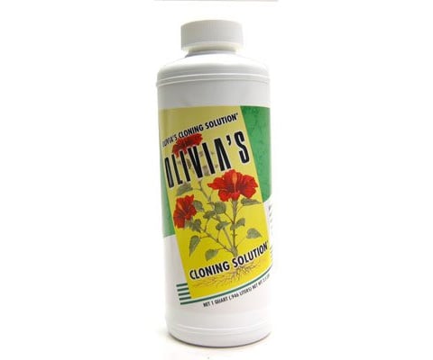 OCS1 Olivia's Cloning Solution, 1 qt (Not for sale in WA) 1 Olivia's Cloning Solution, 1 qt (Not for sale in WA)